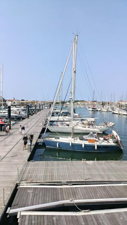 Port Olona - Photo 5