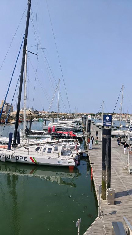 Port Olona - Photo 7