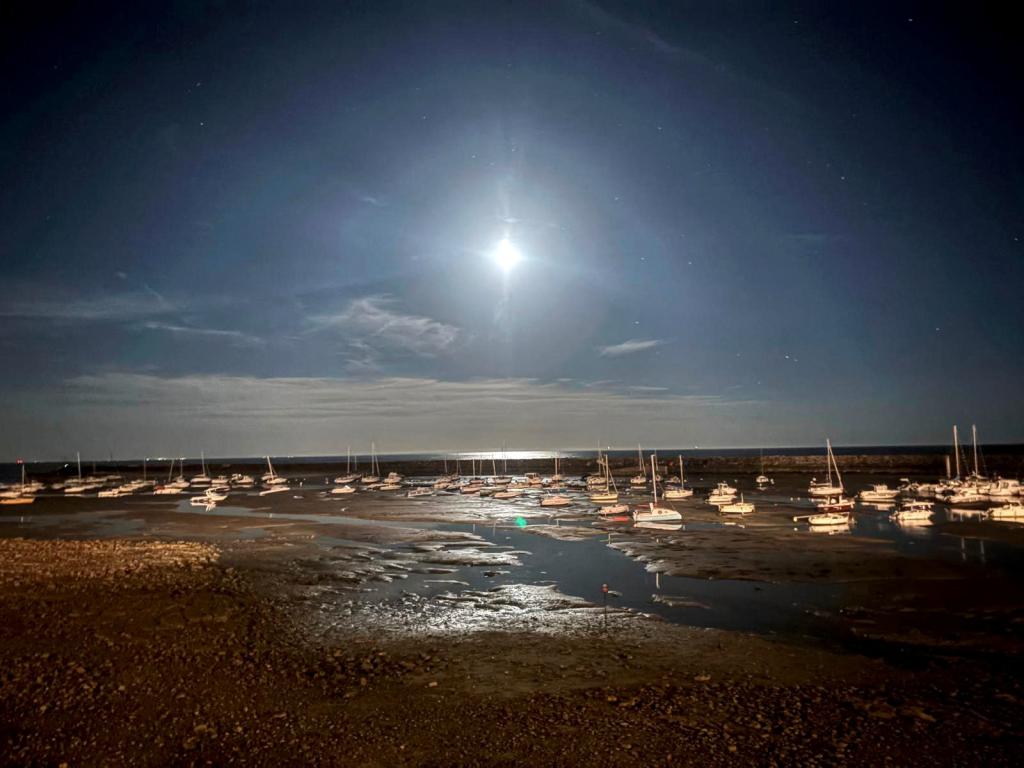 Port de Jard-sur-Mer - Photo 7