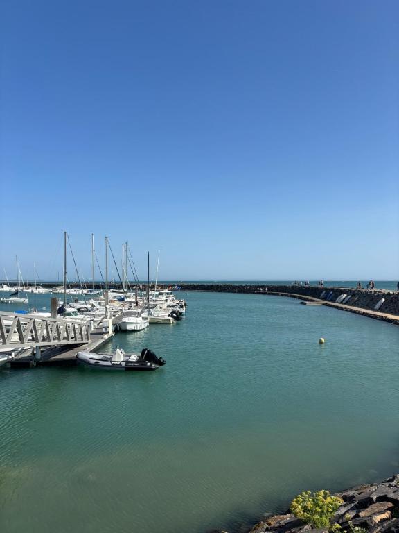 Port de Jard-sur-Mer - Photo 12
