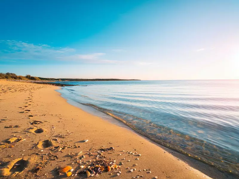Chez Mister Paddle - Kayak et Paddel à la Plage de la Favière(83)