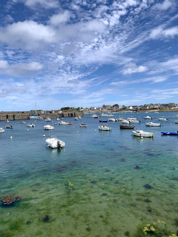 Roscoff