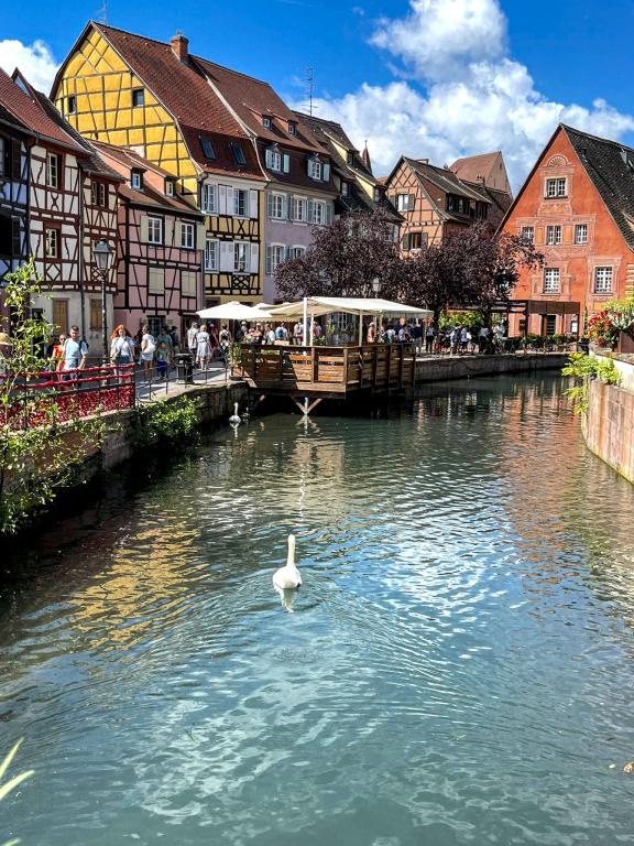 Colmar