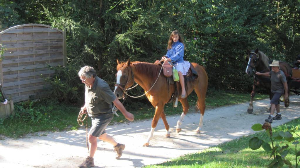 Camping du Bois Fleuri