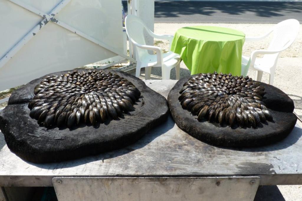 Camping Les Cupressus