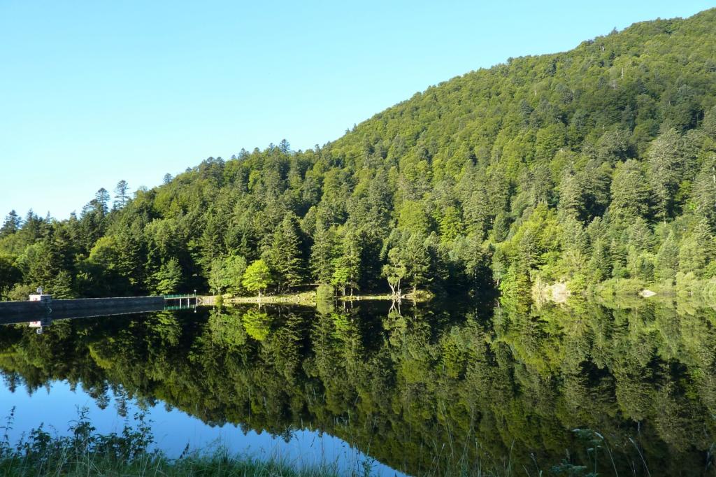 Camping Chalets de la Wormsa