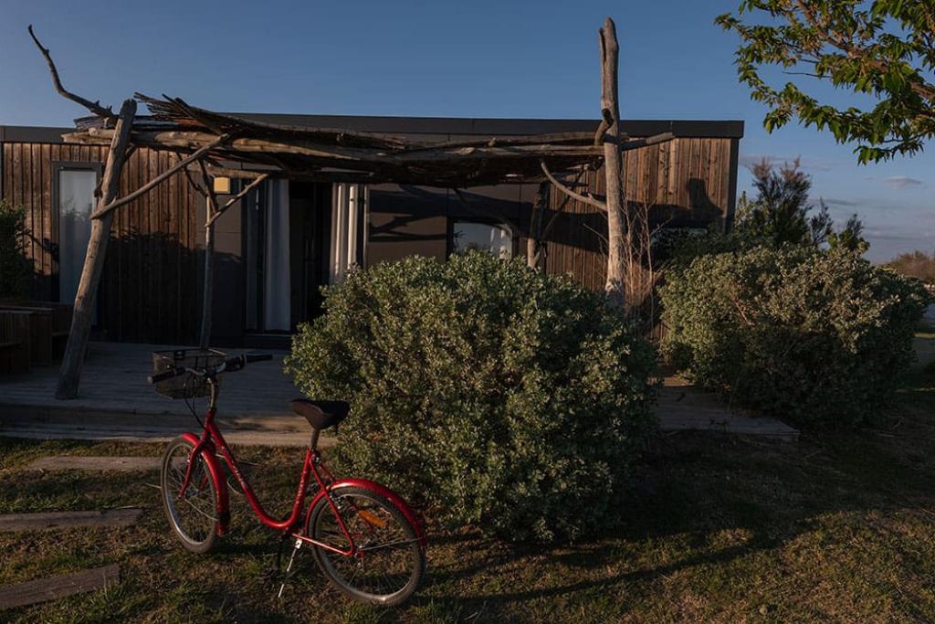 Camping Les Bois Flottés de Camargue