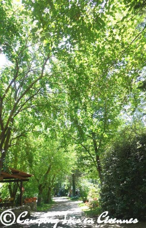 Camping Isis en Cévennes