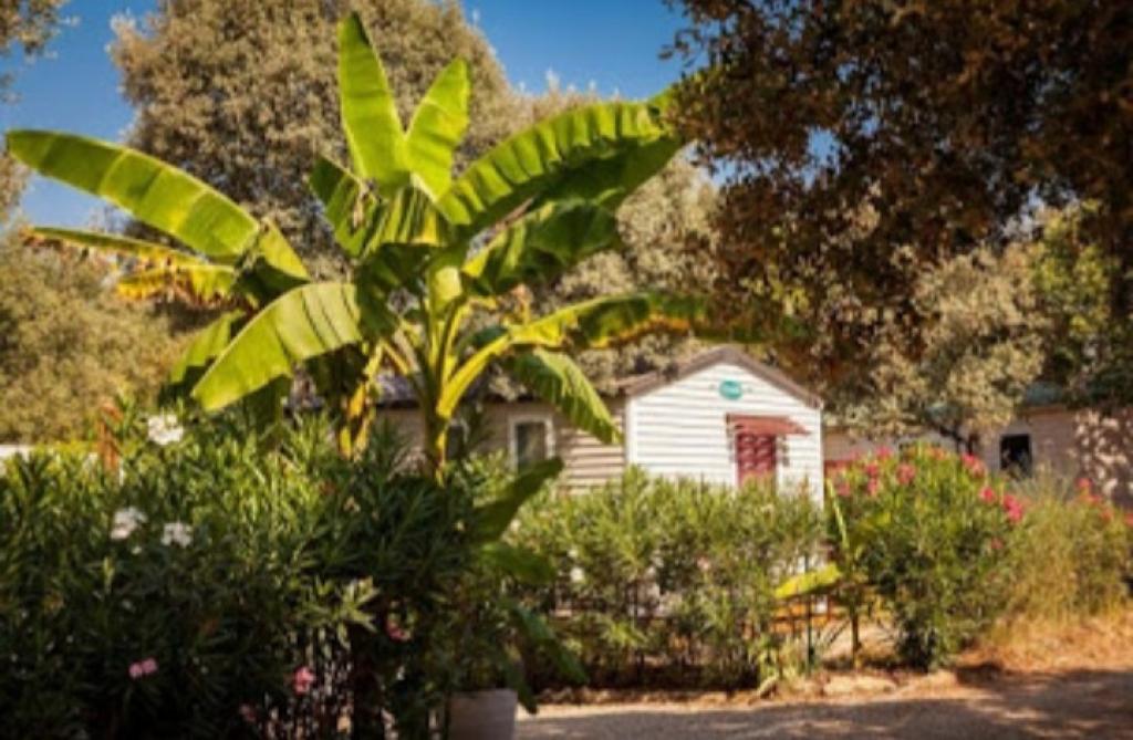 Camping Domaine de Gajan****