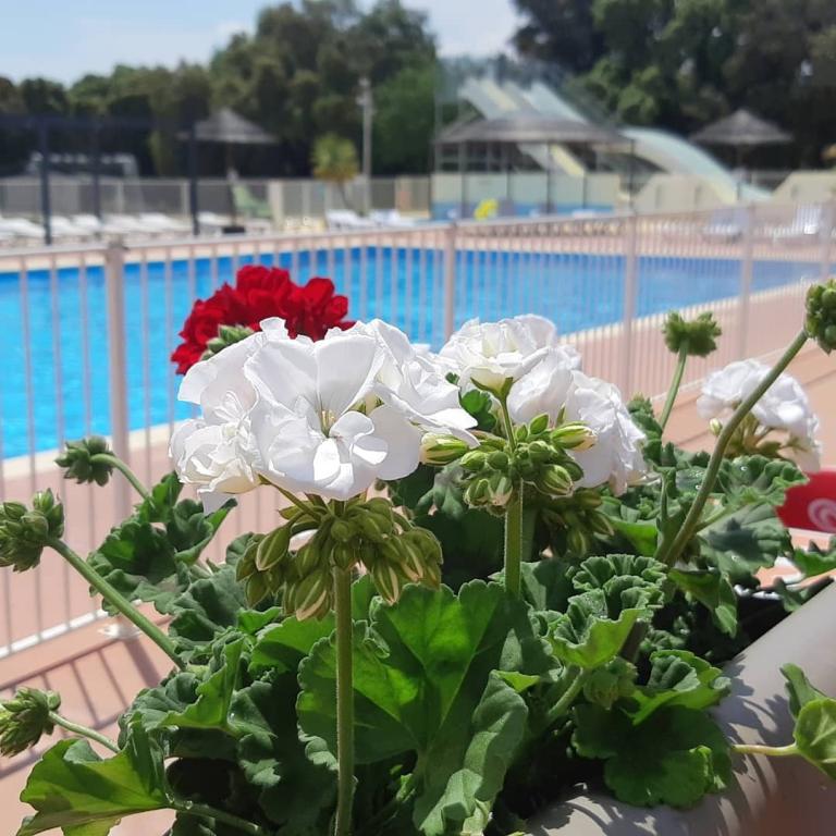 Camping Domaine de Gajan****