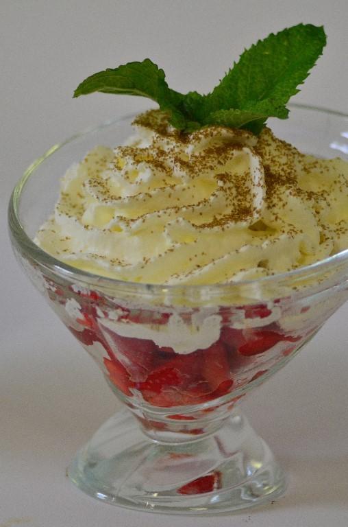 Camping Xtrem Village