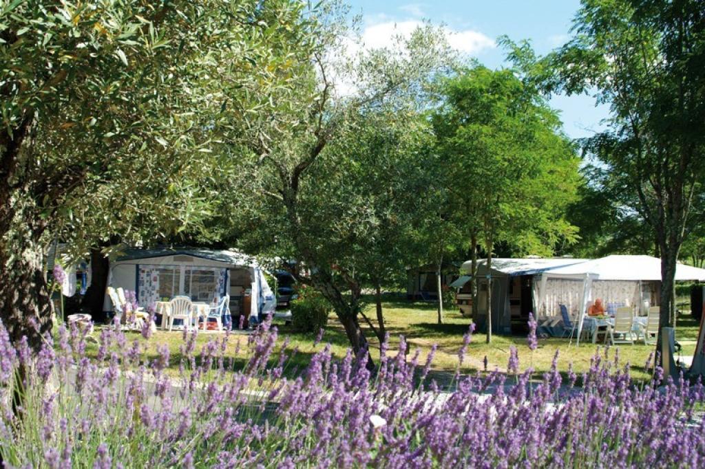 Camping Sites et Paysages Le Petit Bois
