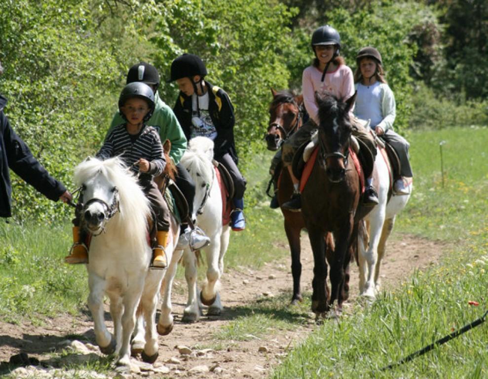 Camping Les Chataigniers