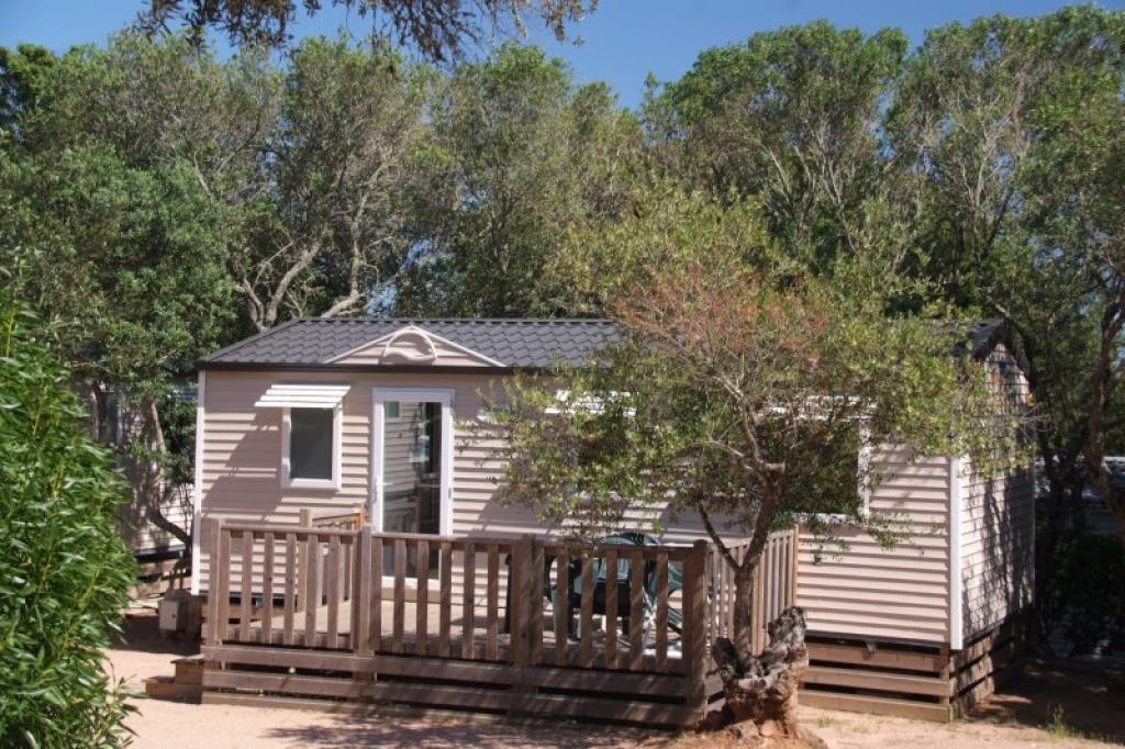 Camping Pertamina Village