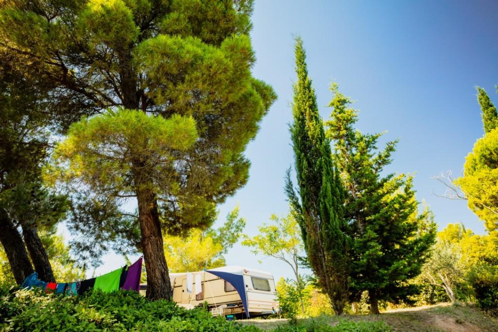 Camping Sites et Paysages La Pinède