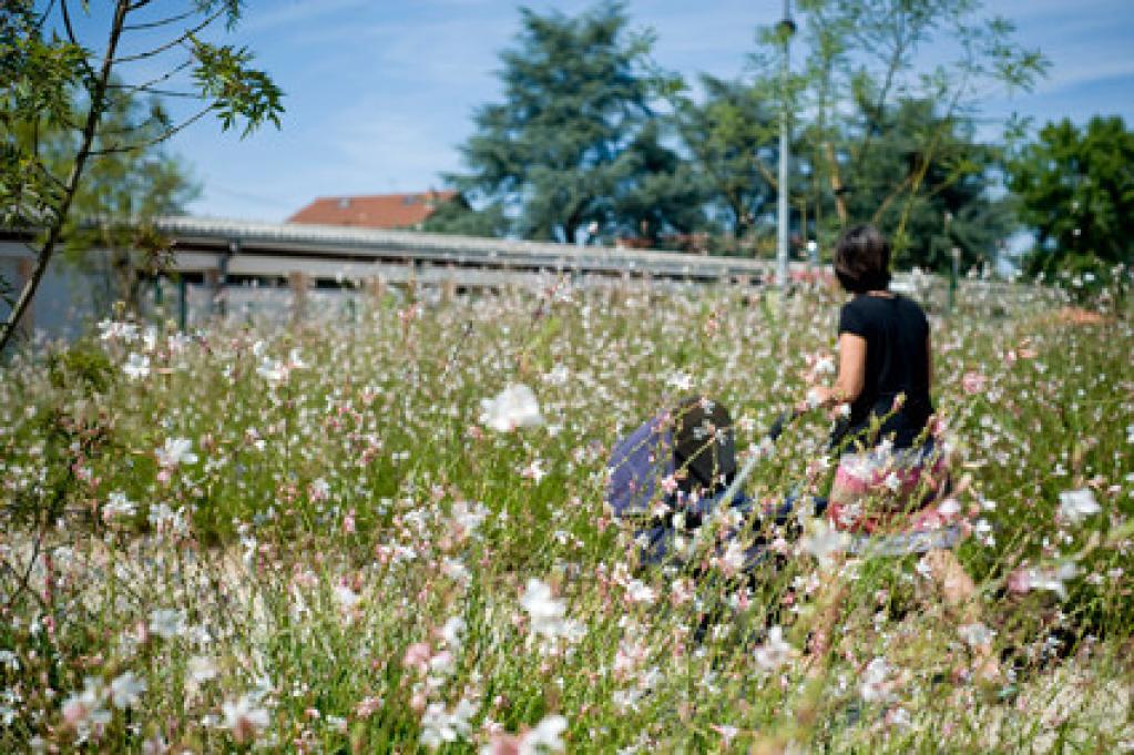 Camping Le Nid du Parc****