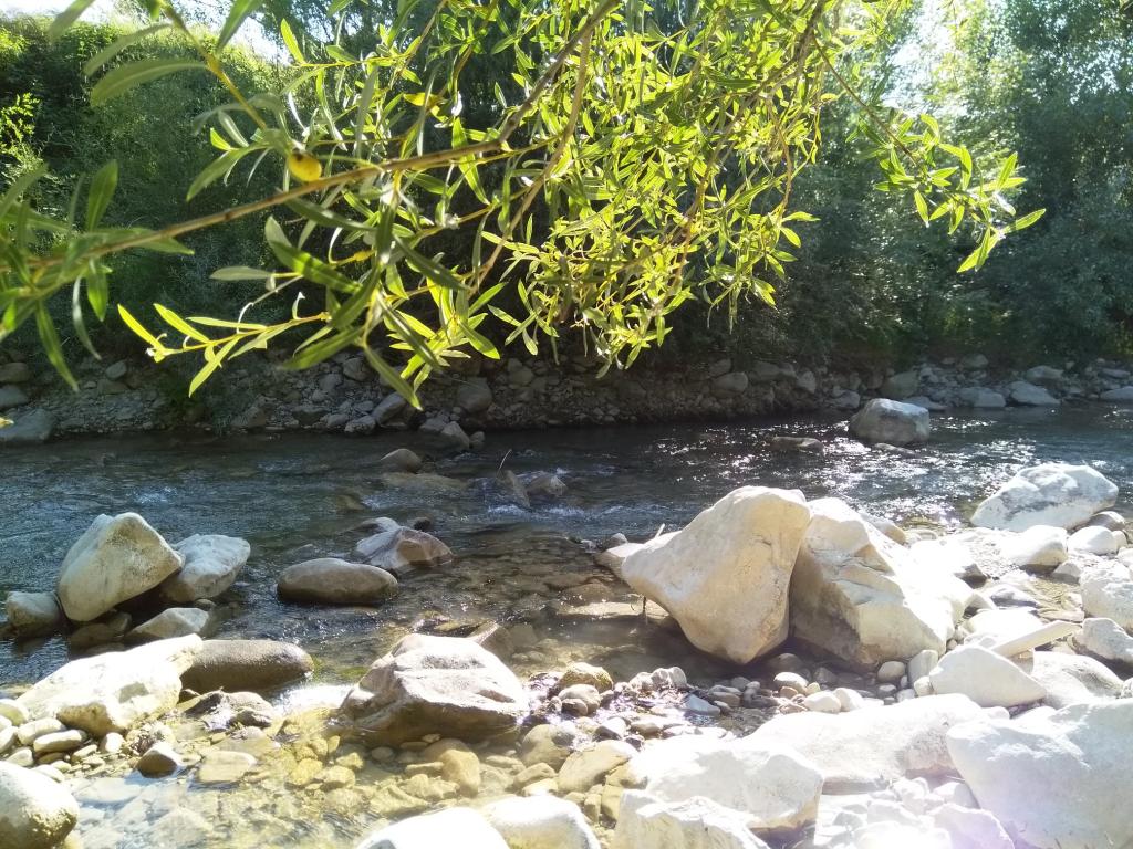 Camping L'ermitage du Grand Bois