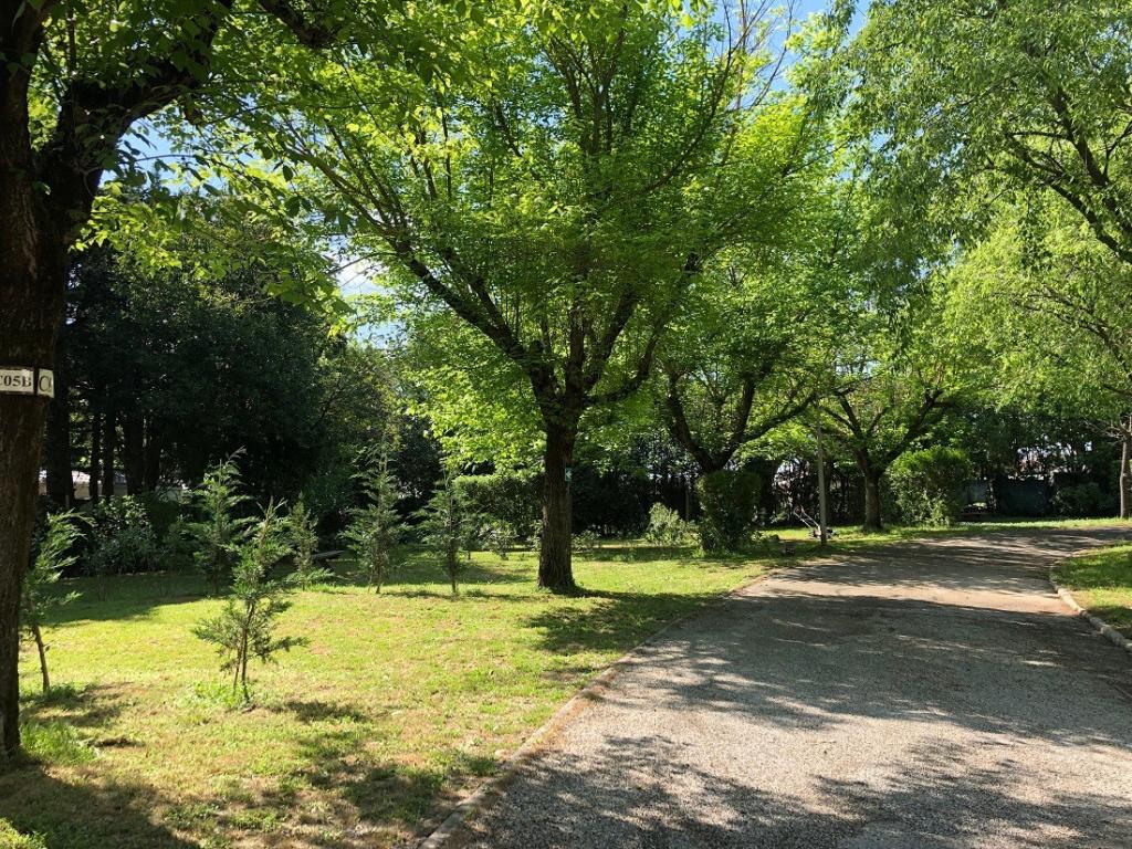 Camping  du Mas de Nicolas